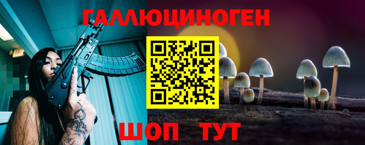 Тосно  Псилоцибиновые грибы Psilocybine cubensis  Вход с VPN 