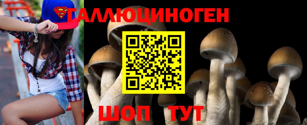 Псилоцибиновые грибы Magic Shrooms Тосно